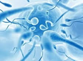 Journal of Andrology and Gynecology Case Reports