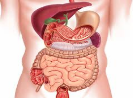 Case Reports in Hepatology and Gastroenterology Journal