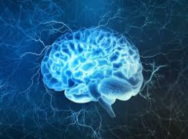 Journal of Neurology and Neurological Case Reports